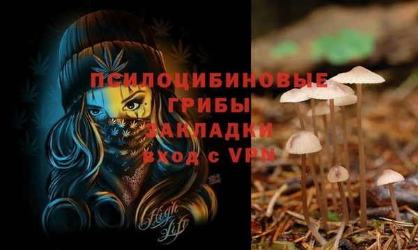 дживик Приозерск
