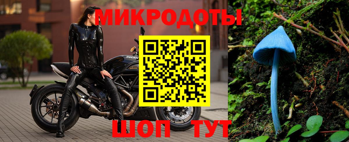 Галлюциногенные грибы мицелий Соль-Илецк