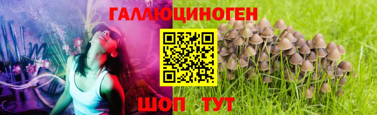 Соль-Илецк  где продают   Галлюциногенные грибы MAGIC MUSHROOMS  Вход с VPN  Псилоцибиновые грибы мухоморы 